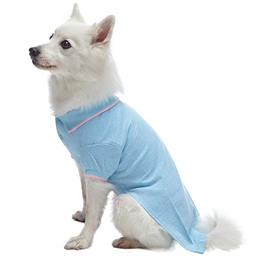 Blueberry Pet Pack Of 2 Back To Basic Cotton Blend Dog Polo Shirts In Pastel Pink And Blue, Back Length 12", Clothes For Dogs #TOP4