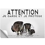 Stick Attention au chien mâle cane corso