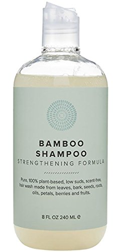 Hairprint - 100% Plant-Based/All Natural Fermented Bamboo Shampoo (8 fl oz / 240 ml)