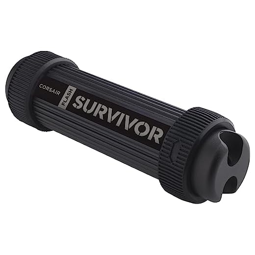416c7HAOmUL._SS520_ Best tough flash drive
