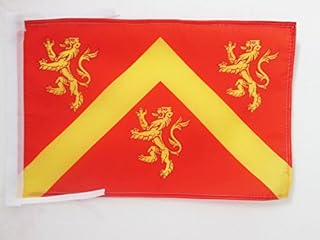 AZ FLAG Anglesey county Flag 18'' x 12'' cords - Anglesey SMALL flags 30 x 45cm - Banner 18x12 in