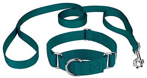 Country Brook Petz - Martingale Heavyduty Nylon Dog Collar and Double Handle Leash - Teal - Small