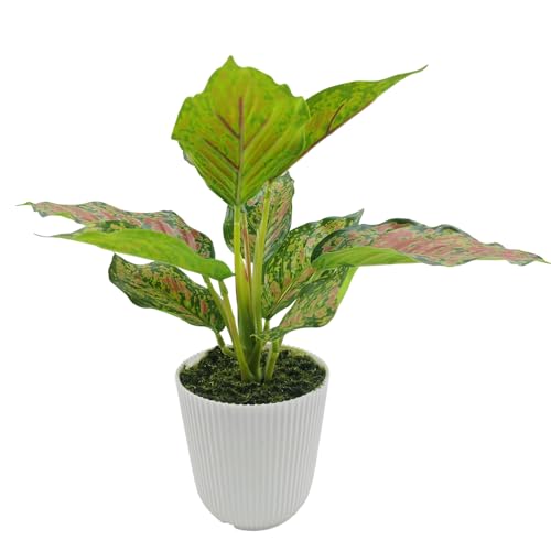 Image of KARP Artificial Potted Plants, 26Cm Height Mini Faux 10-Leaf Dieffenbachia Plant with White Pot Home Decor, Indoor Artificial Ornamental Plants for Living Room, Office Desk & Bathroom, Decorative