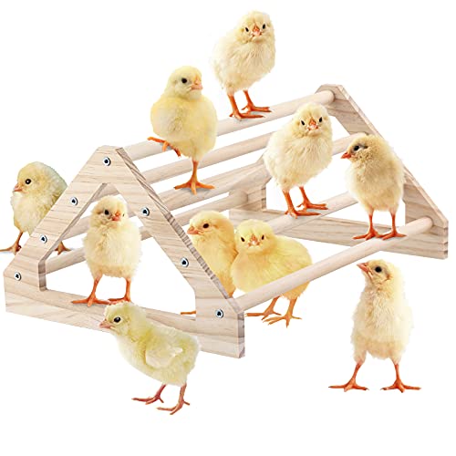 GINTUTO Wooden Chick Perch Stand Pine Chicks Roosting Bar Jungle Gym Perch Toys for Chicken Coop & Brooder Bird Perch for Baby Chicks & Parrots (Large)