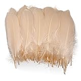 Lampu Natural Goose Feathers 15-20cm/6-8 inches Clothing Accessories Pack of 100 （Champagne）