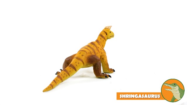 Amazon.com: Safari Ltd. Shringasaurus Prehistoric Reptile