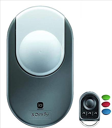 Motorisation porte de garage '' DEXXO Pro 800 io moteur seul+ 2téléco Keygo Somfy