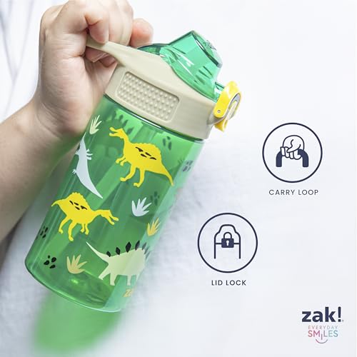 Zak Designs Garrafa de água infantil Sonic the Hedgehog Sage para escola ou viagem, garrafa de água