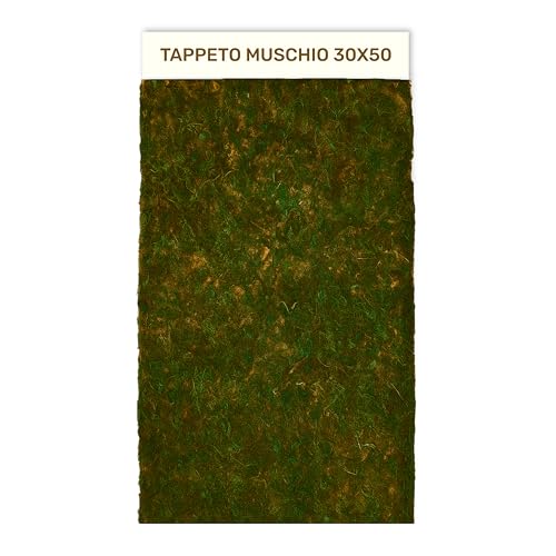 Gesar Muschio per presepe Natalizio Realistico – Tappeto Muschio e Carta presepe Verde per Base e Sfondo presepe Paesaggio Fai da Te con Accessori e licheni (30X50 cm)