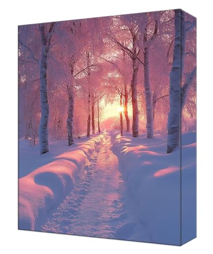 Loisirs créatifs adultes kit peinture numéro arbre au crépuscule