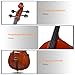 Doredo Full Size Cello 4/4 for Adults, Beginners, Acoustic 4/4 Cello Set with Portable Bag, Bow, Rosin, Natural