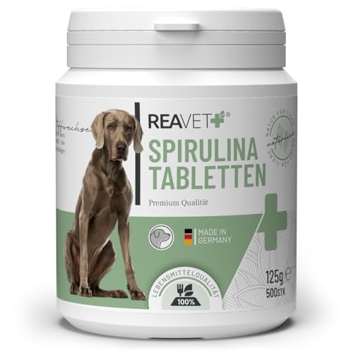ReaVET Spirulina Tabletten für Hunde 500 Stück – in Lebensmittelqualität, 100% Reine Mikroalge in Lebensmittelqualität I Natürliche Proteinquelle, reich an Chlorophyll, Vitaminen & Mineralstoffen