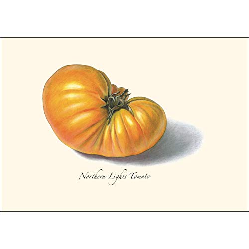 Image of Earth Sky + Water - Tomato Assortment Notecard Set - 8 Blank Cards with Envelopes (4 each of 2 styles)