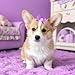20 PCS Cute Dog Hair Bows with Rubber Bands Elastic Handmade Mix Style Lace Rhinestone Pearls for Furry Puppy Cat Pet Girl, Dark Purple
