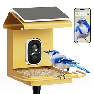Bilantan Metal Smart Bird Feeder with Camera Solar Powered, Lifetime Free AI Bird Feeder Camera 2.5K Motion Activated, Wireless Live Video Bird Feeder Wireless for Outdoors Pole Mount