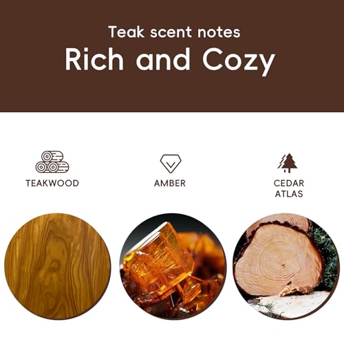 Image of Car Air Freshener Natural Essential Oil Scent, Odor Eliminator and Purifier, Sun Visor Clip Air Freshener for Car(Refill - 3 Pack - Warm Getaway)