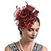 YogfegY Chapeau pour Femmes Mariage Fleur Cocktail Maille Plumes Pince à Cheveux Tea Party Bandeau Chien Tissu (Wine, One Size)
