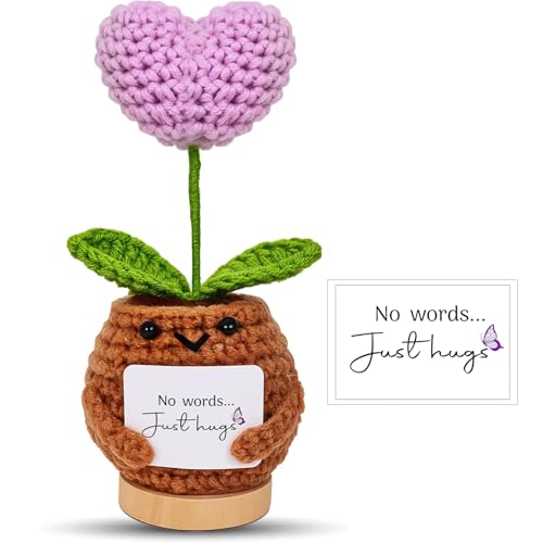 ZYTIN Sympathy Gifts for Loss of Loved One Handmade Crochet Heart Plant No Words Just Hugs Bereavement and Memorial Keepsake that Lasts Get Well Soon Mothers Day Grief Gift for Women Men