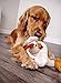 goDog Checkers Fat Rooster Squeaky Plush Dog Toy, Chew Guard Technology -...