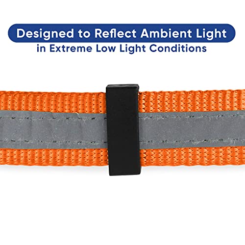 Pawtitas Martingale Dog Collar With Chain A Reflective Dog Training Collar For Medium Dogs | Nylon No Pull Dog Collar For Medium Dog - Orange #TOP3