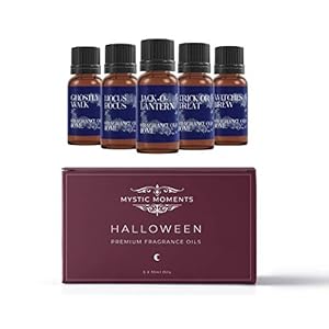 Mystic Moments SP10FOHALL,NGS FORTRESS900V2 – Ononderbroken UPS-Voeding, Offline UPS van 600 VA, Constante…