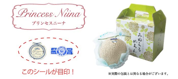 Amazon.co.jp: メロン プリンセスニーナ 秀品 1.4kg×2玉