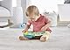 Fisher-Price Musikalisches Tierfreunde-Liederbuch | Babyspielzeug ab 6 Monate, 1 Jahr für Mädchen & Jungen | Baby-Spielzeug | Musikbuch mit Geräuschen & Lichteffekten | Lernspielzeug (Deutsch), GFP29