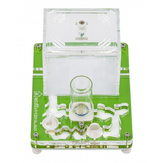 Kit éducatif de Fourmis Anthouse avec Reine Incluse - Fourmilière Acrylique Professionnelle 10 x 12 x 1,3 cm pour Enfants et débutants | Ferme de Fourmis pour Observation et Apprentissage (Vert)