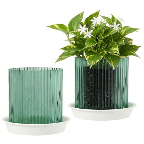 Hestremo Green Glass Plant Pots Indoor 5 inch Clear Orchid Pots with Drainage Holes & Trays Small Glass Planter for Indoor Plants Herbs Succulent Flower Planter with Ribbed Texture Set of 2