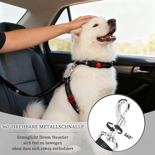 Viwind Hunde Autogeschirr, verstellbares 2-in-1-Design, reflektierende Streifen und stoßdämpfende Kordel. Universalschnalle passend für alle Hundegrößen und alle Automodelle. (Schwarz)