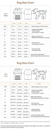 Reviews y listado de Verano 2019 camiseta favoritos de las personas. 11 Imagen adicional