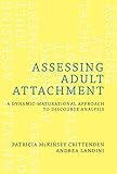 Assessing Adult Attachment: A Dynamic-Maturational Approach to Discourse Analysis (A Norton Professional Book)