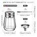0.3 OZ Mini Salt and Pepper Shakers 12 Pcs - Small Mini Salt Shaker Clear Seasoning Shakers Tiny Glass Spice Containers, Portable Small Seasonging Jars for kitchen, Picnic (Silver)