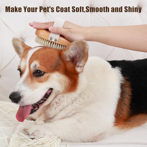Soft-Boar-Bristle-Pet-Palm-Brush-for-Short-Haired-Dogs-and-Cats-with-Band-Reduce-Shedding-Ergonomic-Dog-Brush-Easy-to-Hold-and-Reduces-Stress-On-Your-Wrist-Ideal-for-Daily-Grooming Soft Boar Bristle Pet Palm Brush for Short Haired Dogs and Cats with Band Reduce Shedding Ergonomic Dog Brush Easy to Hold and Reduces Stress On Your Wrist Ideal for Daily Grooming