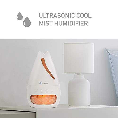 Pureguardian Himalayan Salt Lamp, Ultrasonic Cool Mist Humidifier With Aromatherapy Tray H1117W #TOP2
