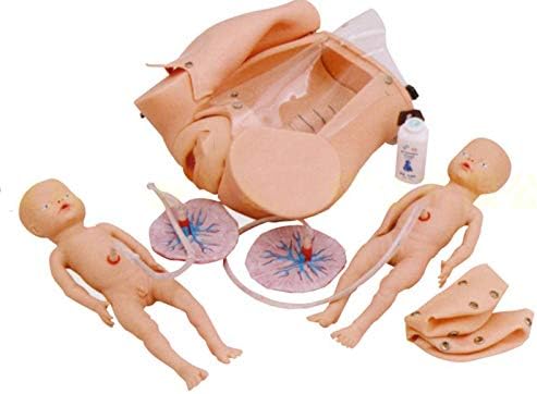 Advanced Childbirth Comprehensive Skill Training Model - Manikin Teaching Model Childbirth Teaching Simulator Model - Midwifery Manikin for Labor, Pregnant Woman And Baby Model