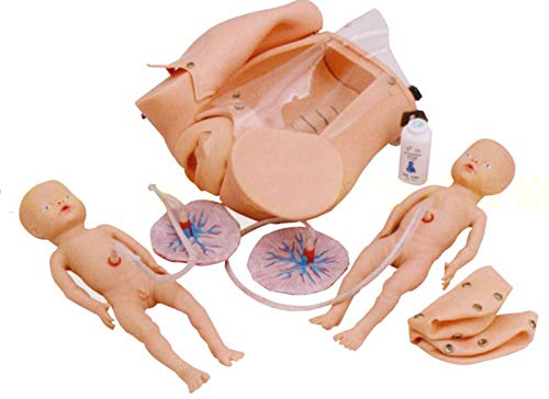 Advanced Childbirth Comprehensive Skill Training Model - Manikin Teaching Model Childbirth Teaching Simulator Model - Midwifery Manikin for Labor, Pregnant Woman And Baby Model