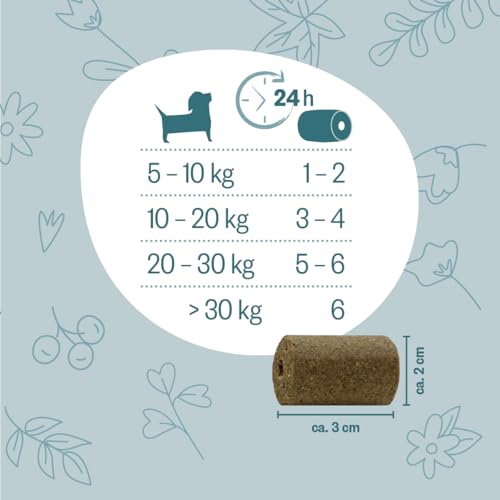 GRAU - das Original - Hokamix Vitality Booster Snack Maxi, 1er Pack (1 x 4,5 kg), Ergänzungsfuttermittel für Hunde