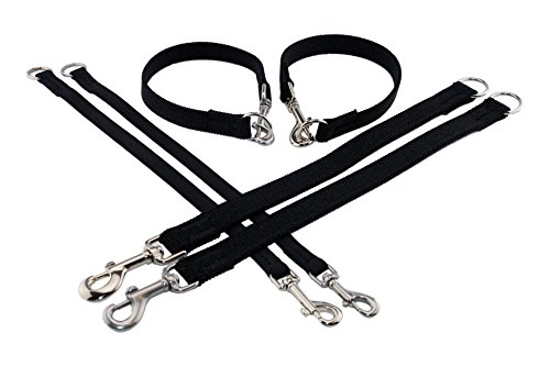 LENNIE Ruckdämpfer/elastisches Gurtband/Verschiedene Größen/Hunde-Leinen-Adapter [15 mm, Edelstahl]