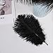 Shekyeon 8-10inch(20-25cm) Ostrich Feather Plumes Wedding Centerpiece Table Decoration Pack of 20(Black)