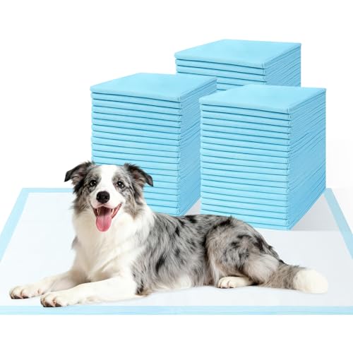 Image of Large Dog Pee Pads 31x36 60 Count 6-Layer Absorbent Puppy Training Pad