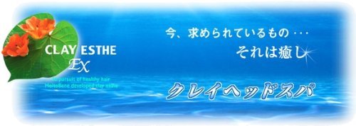 Amazon | モルトベーネ クレイエステシャンプーEX クレイエステパック