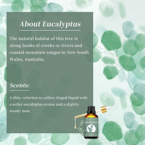 Eucalyptus Essential Oil Pure Natural Eucalyptus Oil Premium Organic Eucalyptus Essential Oil For Diffuser & Aromatherapy, Spray, Skin, Massage - 3.38 Fl. Oz #TOP1