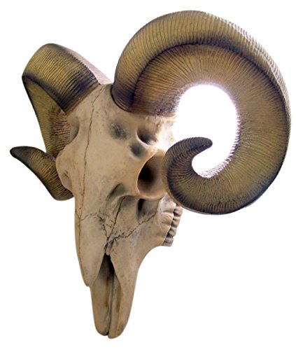 Ram Skull Rustic Wall Head Mount 14 Inch #TOP4