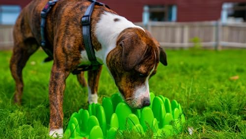Company of Animals Green Slow Feeder - Mini x 1
