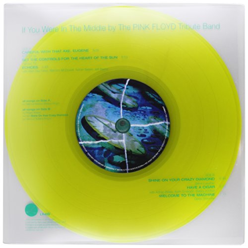 List Of The Best Pink Floyd Tribute Band [Top 10 Picks] BNB