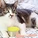 Milisten 3-in-1 PET Food Can Covers and Spoon Set Silicone Cat Food Lid Dog Can Lids for 2-Piece Set Cat Spoon and Airtight Seal