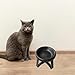 MotiveTech Pet Feeding Bowl with Removable Dish and Metal Support for Cats and Dogs, Black