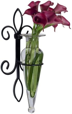 Danya B. Home Accent Wall Mount Fleur de Lis Flower Vase Sconce Made from Iron and Clear Glass, it Can be Displayed on The Wall Indoors or Perfect for The Patio