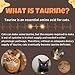 Taurine for Cats - Taurine Powder for All Ages Including Kittens - 144+ Servings - 500mg Supplement - unscented (6oz)